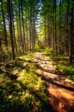 Qinling Mountains Stock Photos