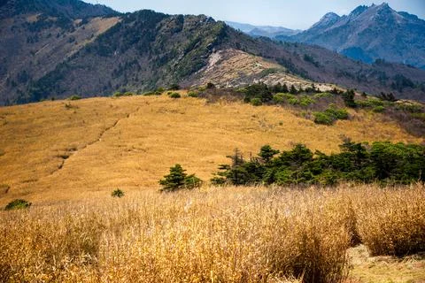 Qinling Mountains Stock Photos