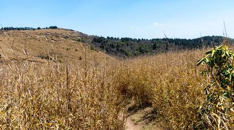Qinling Mountains Stock Photos