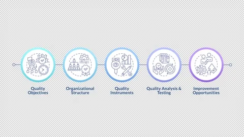 QMS elements infographic circles animation Stock Footage 296623880