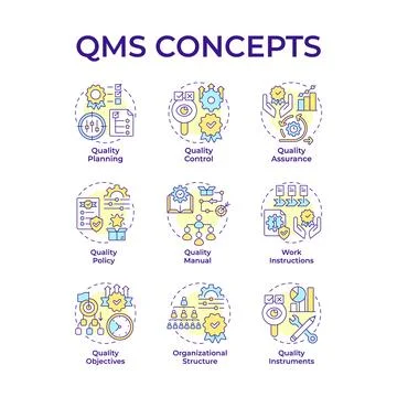 QMS multi color concept icons Stock Illustration