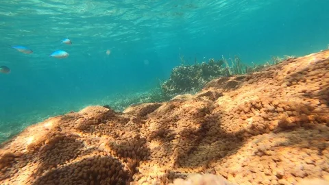 QOLM9911 Stock Footage 128122708