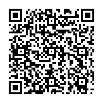 QR code. Identity concept in phone. Qrcode vector Stock-Illustration