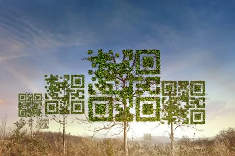 QR code tree with a symbol in the dry forest background. Technology ,Business Stock-Fotos