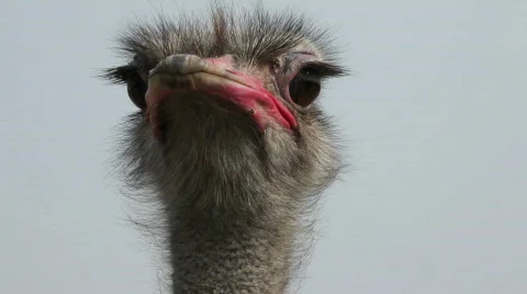 QT01 Stock Footage 846049