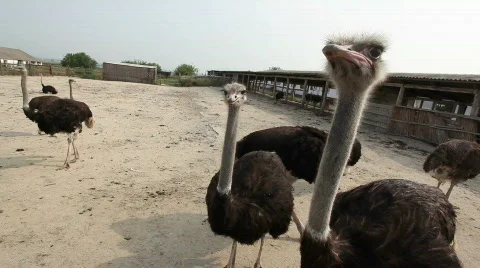 QT02 Stock Footage 846081