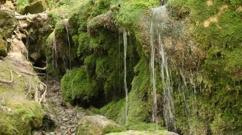 QT03 Stock Footage 846129