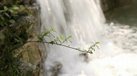 QT05 Stock Footage 846090