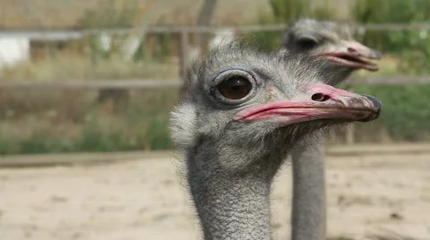 QT10 Stock Footage 846239