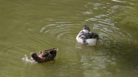 QT14 Stock Footage 846252