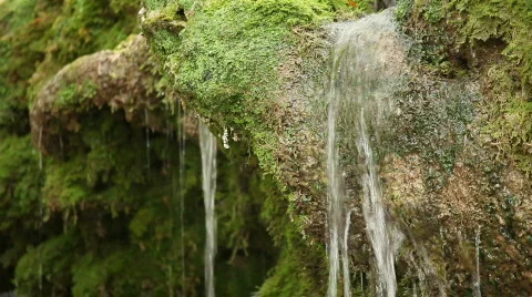 QTHD05 Stock Footage 851673