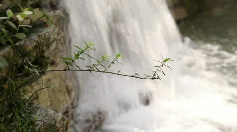 QTHD08 Stock Footage 851181