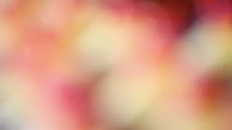 QTHD10 Stock Footage 851214