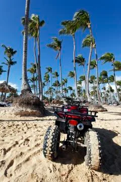 Quad and palms Foto stock