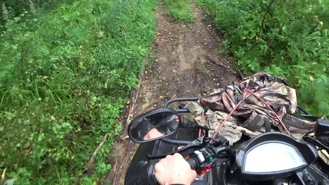 Quad bike in the forest Stock Footage 83271024