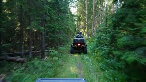 Quad bike through the forest Stock Footage 93398817