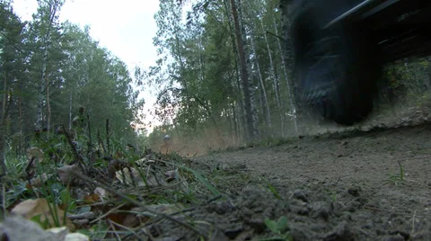 Quad bikes on forest road Stock-Footage 33632800