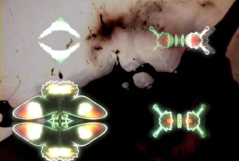 Quad Butterfly Stock Footage 283233