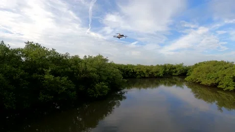 Quad copter drone hovering over a Florida mangrove swamp. Stock Footage 158387242