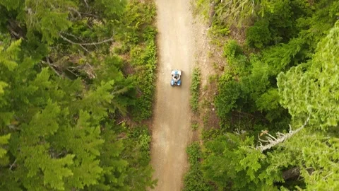 Quad driving on the forest road Stock Footage 157411010
