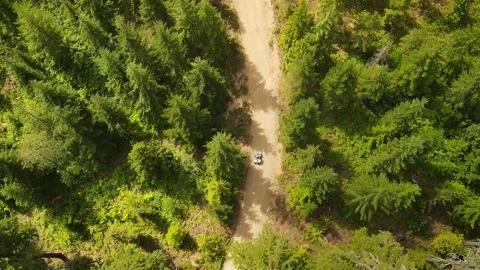 Quad driving on the forest road Stock Footage 157411187