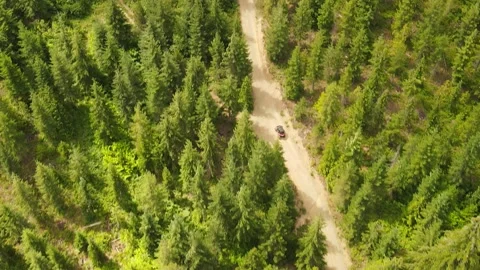 Quad motor driving on the forest road Stock Footage 157411072