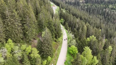 Quadbikes in the treeline Stock Footage 317405561