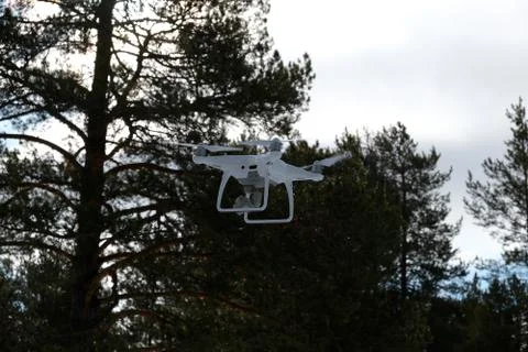 Quadcopter on the background of forest and clouds. Stock Photos