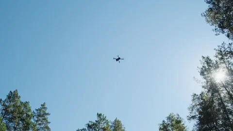 Quadcopter with camera flying over the woods in the sky. Stock Footage 290163599