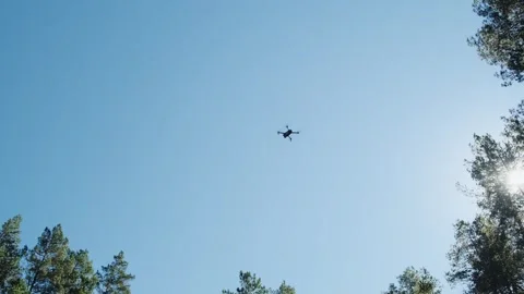 Quadcopter with camera flying over the woods in the sky. Stock Footage 296090529