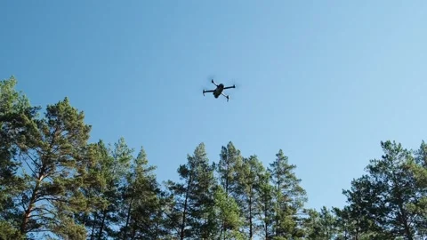 Quadcopter with camera flying over the woods in the sky. Stock Footage 307771254