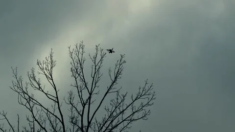 Quadcopter drone flies between trees in the city and makes video shooting Stock Footage 317190899