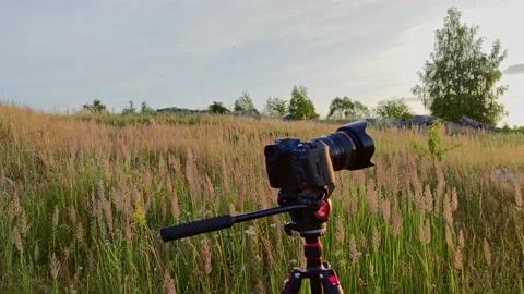 Quadcopter drone flying over camera on a tripod at summer day in uncultivated Stock Footage 204031409