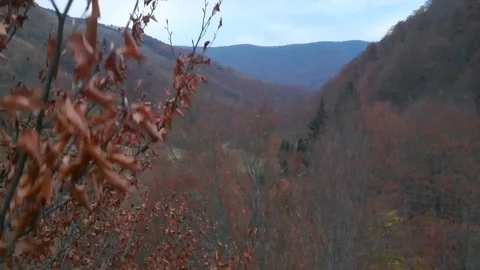 Quadcopter falls from a height. The fall of the quadcopter. Wreck. Stock Footage 97801295