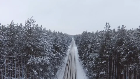 The quadcopter flies along the road between the pines in the winter forest. Stock Footage 103230973