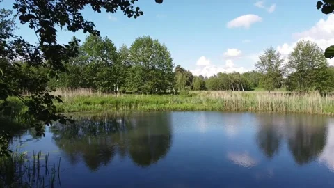 A quadcopter flies between small trees to a small blue lake. Stock Footage 139768179