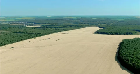 Quadcopter flies over fields and forests. Rural areas, cultivation of cereals Stock-Footage 159565857