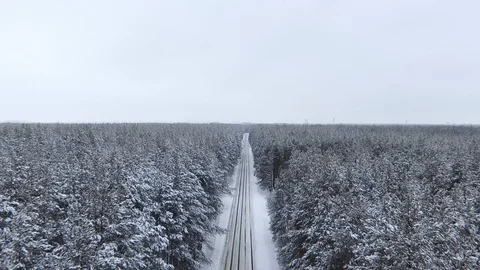 The quadcopter flies over the forest and the road. Winter panoramic view Stock Footage 103231174