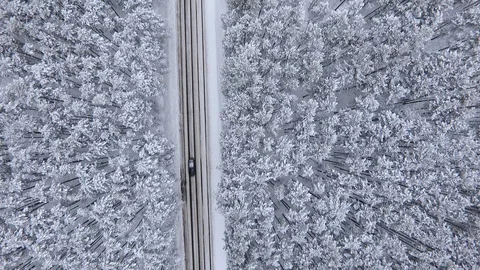 The quadcopter flies over the forest and the road on which the cars are moving. Stock Footage 103231489