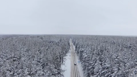 The quadcopter flies over the road in the forest, following the moving car. Stock Footage 103231330