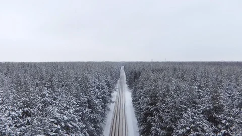 The quadcopter flies over the tops of the trees in the forest, over the road.  Stock Footage 103231071