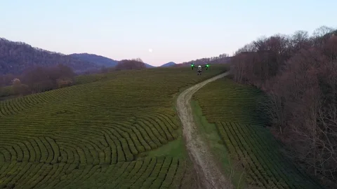 Quadcopter in flight. Shooting in the evening. Sunset, moonrise. 動画素材 104952083