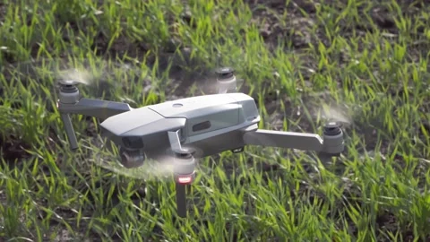 Quadcopter is hovering over the green field in the evening at sunset Stock Footage 168608736