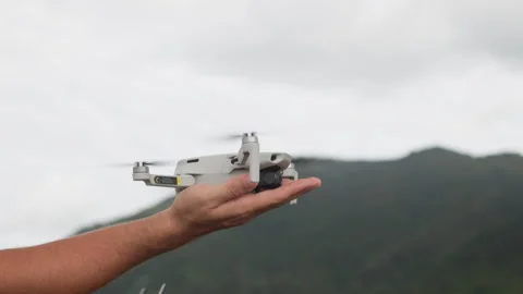 Quadcopter landing on a palm. Stock Footage 320689332