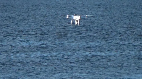 Quadcopter over the heads of seals Stock Footage 100248612