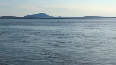 Quadcopter over the sea Video stock 100248382