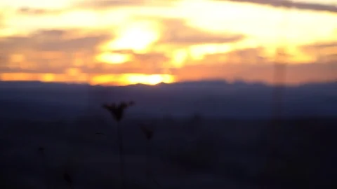 Quadcopter takes off. Sunset in the background Stock Footage 119713224