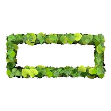 Quadrangle, rectangle made from green leaves Stock Illustration