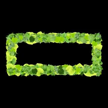 Quadrangle, rectangle made from green leaves Stock Illustration