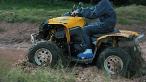 Quadro1 Stock Footage 139453579